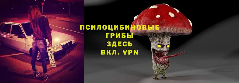 Галлюциногенные грибы Psilocybe  гидра зеркало  Нариманов 